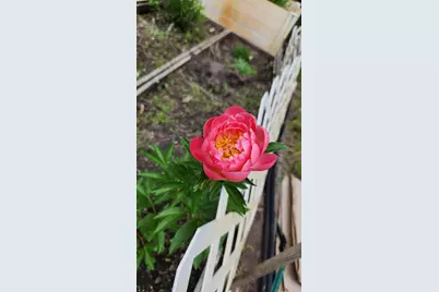 15123 Fox Street NW, Andover, MN 55304 - Photo 60