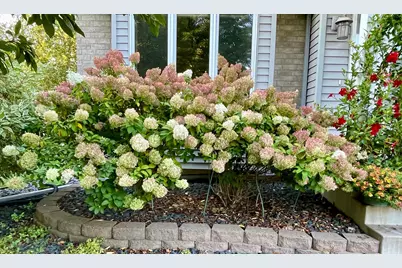 1437 Schooner Way, Woodbury, MN 55125 - Photo 52