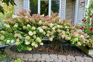 1437 Schooner Way, Woodbury, MN 55125 - Photo 52