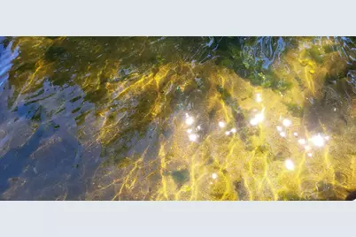 2271 Highway 27 E #7, Osakis, MN 56360 - Photo 12