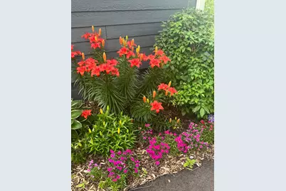 816 Hickory Lane, Mantorville, MN 55955 - Photo 50