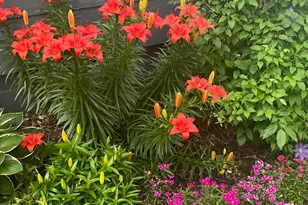 816 Hickory Ln, Mantorville, MN 55955 - Photo 50