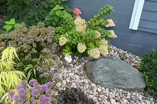 816 Hickory Ln, Mantorville, MN 55955 - Photo 52