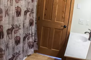 30424 410th St, Dent, MN 56528 - Photo 38