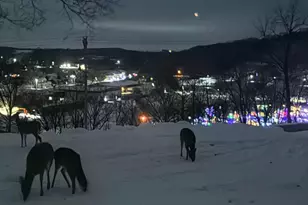 202 Ridgeview Ln S, Lanesboro, MN 55949 - Photo 32