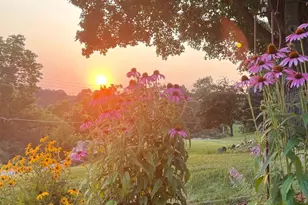 202 Ridgeview Ln S, Lanesboro, MN 55949 - Photo 40