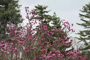 202 Ridgeview Ln S, Lanesboro, MN 55949 - Photo 36