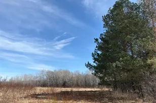 32126 Hornsby St NE, North Branch, MN 55056 - Photo 102