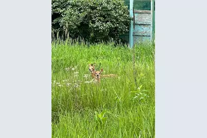 2514 Walden Way, Saint Cloud, MN 56301 - Photo 80