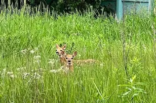 2514 Walden Way, Saint Cloud, MN 56301 - Photo 80