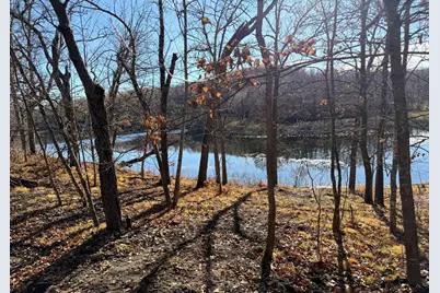 Tbd 330th Avenue, Rochert, MN 56578 - Photo 8