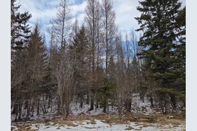 Tbd Three Mile Road NE, Blackduck, MN 56630 - Photo 4