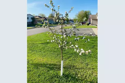 1271 Stone Ridge Road, Sauk Rapids, MN 56379 - Photo 32