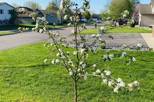 1271 Stone Ridge Rd, Sauk Rapids, MN 56379 - Photo 32