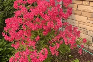 6933 1st Ave S, Richfield, MN 55423 - Photo 34