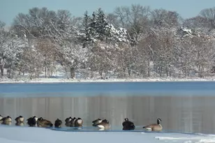 5000 17th Ave S, Minneapolis, MN 55417 - Photo 34