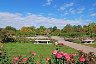 4043 Pillsbury Ave S, Minneapolis, MN 55409 - Photo 34