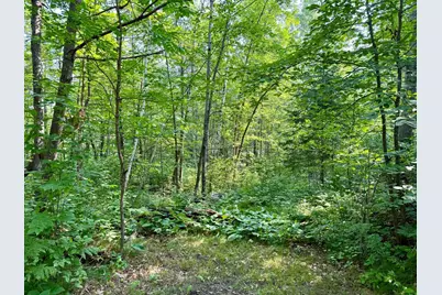 Lot 7 Block 1 Yellow Birch Ln, Emily, MN 56447 - Photo 6