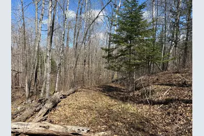 Lot 7 Block 1 Yellow Birch Ln, Emily, MN 56447 - Photo 2