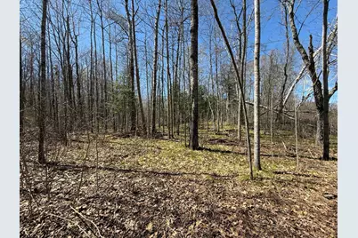 Lot 7 Block 1 Yellow Birch Ln, Emily, MN 56447 - Photo 8
