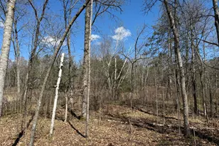 Lot 7 Block 1 Yellow Birch Ln, Emily, MN 56447 - Photo 1