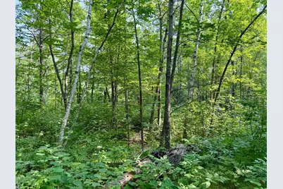 Lot 7 Block 1 Yellow Birch Ln, Emily, MN 56447 - Photo 8