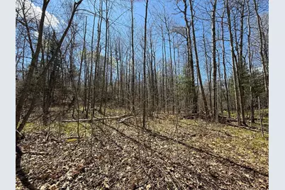Lot 7 Block 1 Yellow Birch Ln, Emily, MN 56447 - Photo 10