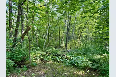 Lot 7 Block 1 Yellow Birch Ln, Emily, MN 56447 - Photo 12