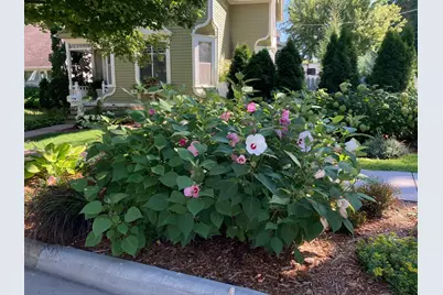 831 Central Avenue, Red Wing, MN 55066 - Photo 30