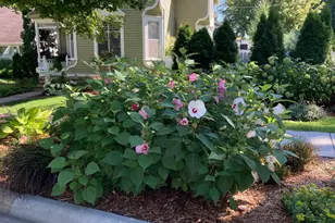 831 Central Ave, Red Wing, MN 55066 - Photo 30