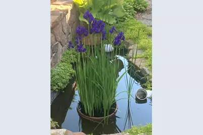 831 Central Avenue, Red Wing, MN 55066 - Photo 32