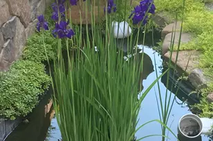 831 Central Ave, Red Wing, MN 55066 - Photo 32