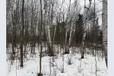 Na Friesland, Hinckley, MN 55037 - Photo 32