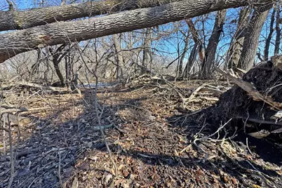 0000 King Of Trails (Hwy 75), Halstad, MN 56548 - Photo 30