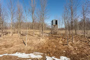 4595 Cotton Tail Ln NW, Alexandria, MN 56308 - Photo 36