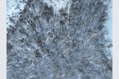 Tbd Drake Circle, Pine River, MN 56474 - Photo 6