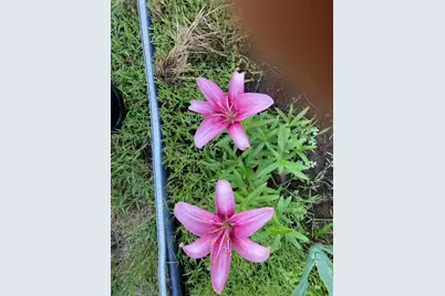 608 Forest View Avenue, Park Rapids, MN 56470 - Photo 42