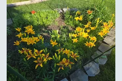 608 Forest View Avenue, Park Rapids, MN 56470 - Photo 44