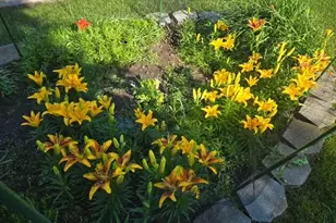 608 Forest View Ave, Park Rapids, MN 56470 - Photo 44