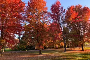 26129 County Road 2, Saint Cloud, MN 56301 - Photo 72