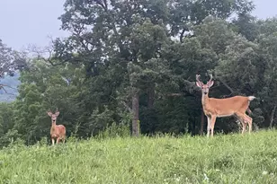 348 105th St NW, Oronoco, MN 55960 - Photo 46