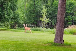 704 Martha Ave N, Thief River Falls, MN 56701 - Photo 4