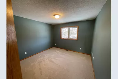 1768 245th Street, Saint Augusta, MN 56301 - Photo 18