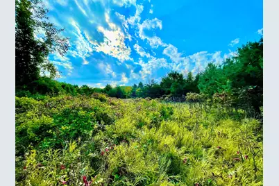 Tbd Plainview Drive, River Falls, WI 54022 - Photo 8