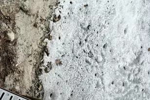 34235 Moose Dr, Laporte, MN 56461 - Photo 36