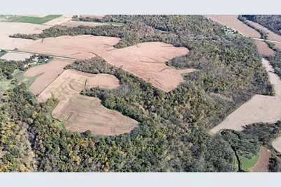 Tbd 207th Avenue, Chatfield, MN 55923 - Photo 6