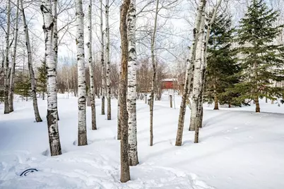 2809 Snowy Owl Circle, Duluth, MN 55804 - Photo 38