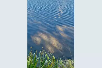 47304 Dallas Road, Spring Lake, MN 56680 - Photo 16