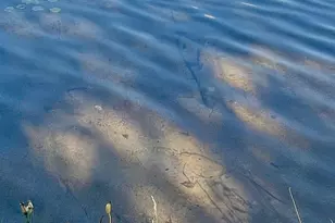 47304 Dallas Rd, Spring Lake, MN 56680 - Photo 16