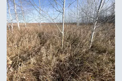 Tbd 150th Street NW, Thief River Falls, MN 56701 - Photo 18